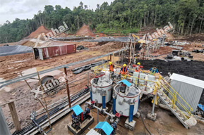 Indonesia 700TPD Gold Processing Plant 1